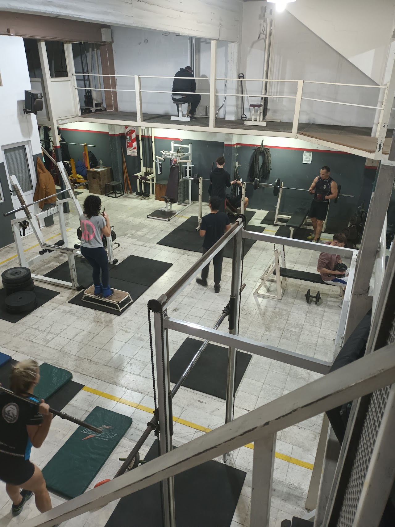 Área funcional, mancuernas y entrenamiento dinámico